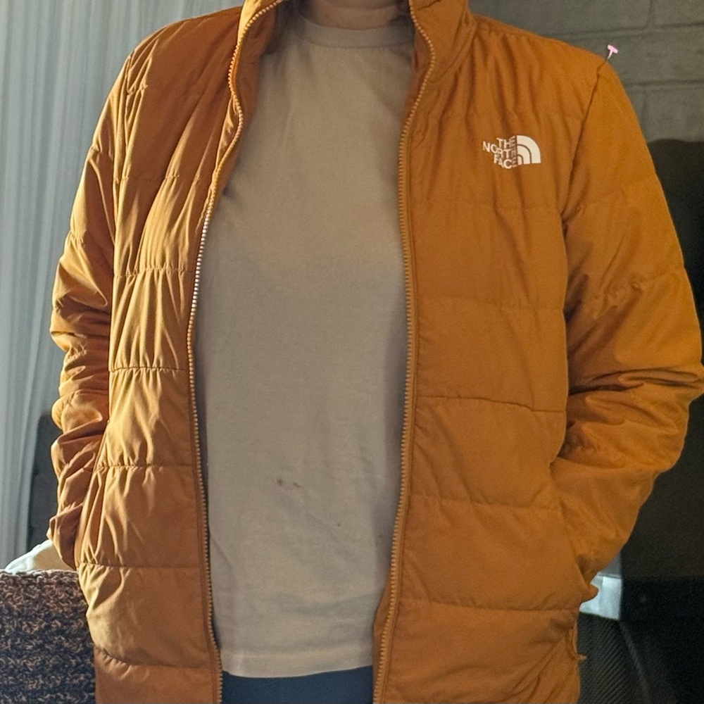 The North Face Orange Puffer Jacket with Quilted Design (Men)